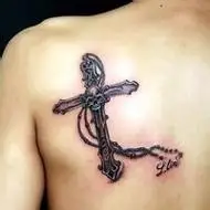 6686体育app签约作者Maximus