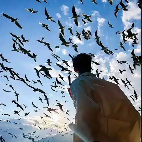 6686体育app铜牌作者Claire