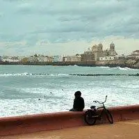 6686体育app中级作者憨憨女王