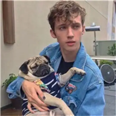 6686体育app海外作者Zara