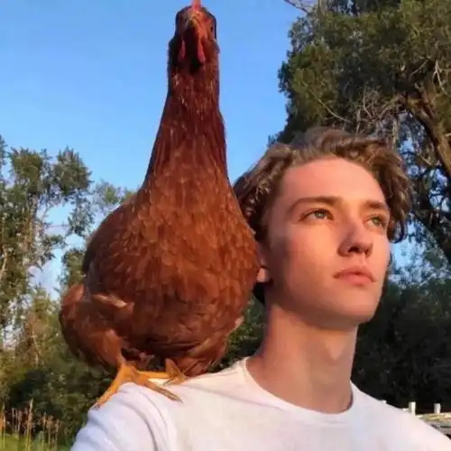 6686体育app初级作者甜味超标