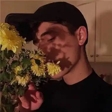 6686体育app铁牌作者Violet