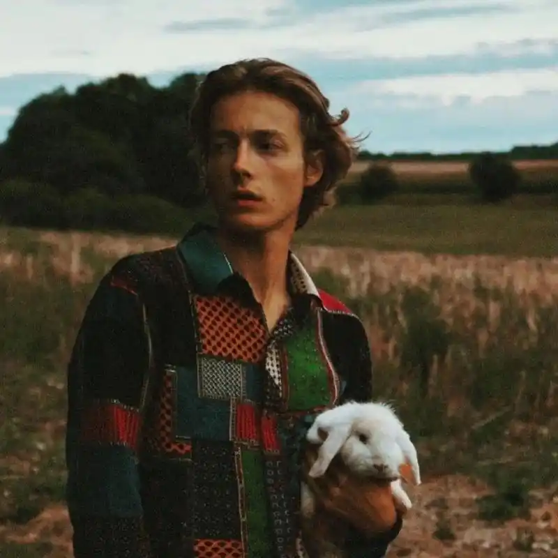 6686体育app海外作者Zoe